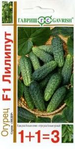 Огурец Лилипут F1 20шт Парт Ранн (Гавриш) 1+1