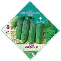Огурец Жандарм F1 0,3г Парт Ранн (Евро-сем) Необычная упаковка