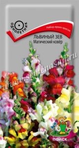 Львиный зев Магический ковер карликовый 0,3г Одн 20см (Поиск)