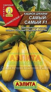 Кабачок Самый-самый цуккини 1г Ранн (Аэлита)