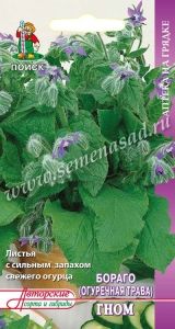 Бораго (огуречная трава) Гном 0,5г (Поиск) Аптека на грядке