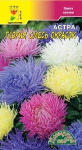 Астра Глория хризантемовидная 0,2г Одн смесь 80см (Цвет сад)