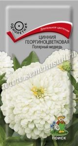Цинния Полярный медведь георгиноцветковая 0,4г Одн 80см (Поиск)
