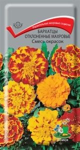 Бархатцы (Тагетес) откл. Смесь окрасок 0,3г 25см (Поиск)