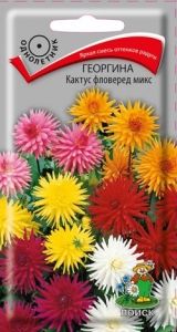 Георгина Кактус фловеред микс 0,2г Одн 130см (Поиск)