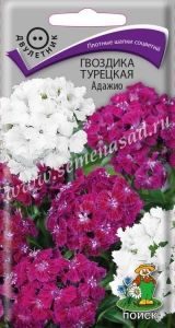 Гвоздика Адажио турецкая 0,3г Дв 50см (Поиск)