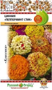 Цинния Пеперминт Стик 30шт Одн смесь 70см (НК)