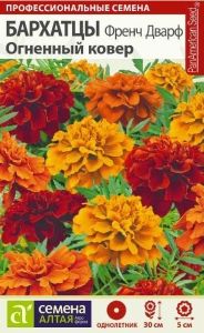 Бархатцы (Тагетес) откл. Френч Дварф Огненный ковер 8шт 30см (Сем Алт)