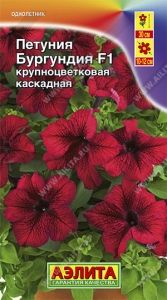 Петуния Бургундия F1 крупноцветковая каскадная 5шт Одн 30см (Аэлита)