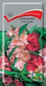 Бальзамин Том Самб 0,1г Одн 45см (Поиск)