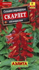 Сальвия Скарлет сверкающая 0.1г Одн 25см (Аэлита)