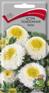 Астра Белая помпонная 0,3г Одн 55см (Поиск)