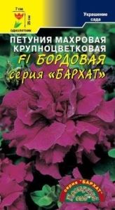 Петуния Бархат F1 Бордовая крупноцветковая махровая 10шт Одн 25см (Цвет сад)