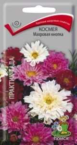 Космея Махровая кнопка 0,1г Одн 80см (Поиск)