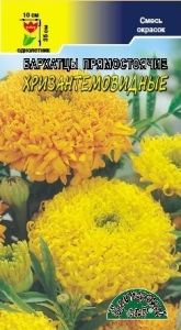 Бархатцы (Тагетес) пр. Хризантемовидные 0.3г смесь 35см (Цвет сад)