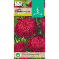 Астра Болеро Красная помпонная 0,3г Одн 65см (Евро-сем)