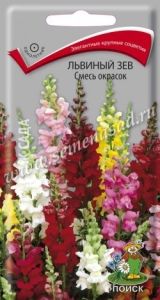 Львиный зев Смесь окрасок 0,3г Одн 90см (Поиск)