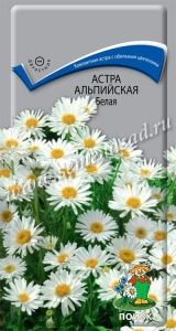 Астра Белая альпийская 0,04г Дв 30см (Поиск)