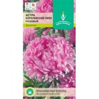 Астра Королевский пион Розовый пионовидная 0,3г Одн 80см (Евро-сем)