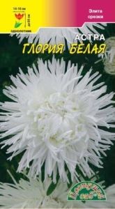 Астра Глория Белая хризантемовидная 0,2г Одн 80см (Цвет сад)