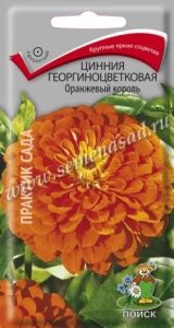 Цинния Оранжевый король георгиноцветковая 0,4г Одн 80см (Поиск)
