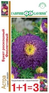 Астра Букет роскошный Фиолетовый принцесса 0,5г Одн 70см (Гавриш) 1+1