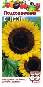 Подсолнечник Енисей 10г Ранн (Гавриш)