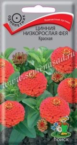 Цинния Фея Красная низкорослая 0,1г Одн 20см (Поиск)