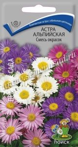 Астра Смесь окрасок альпийская 0,3г Мн 30см (Поиск)