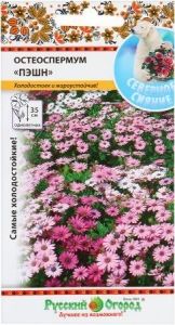 Остеоспермум Пэшн 15шт Одн смесь 35см (НК)