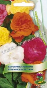 Бегония Версальская история клубневая 15шт Комн 45см (Поиск)