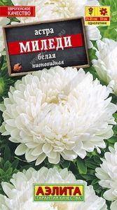 Астра Миледи Белая пионовидная низкорослая 0.2г Одн 35см (Аэлита)