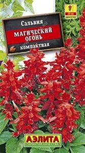 Сальвия Магический Огонь 0.1г Одн 25см (Аэлита)