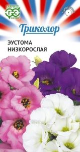 Эустома Триколор низкорослая 9шт Одн смесь 15см (Гавриш)