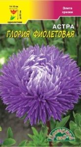 Астра Глория Фиолетовая хризантемовидная 0,2г Одн 80см (Цвет сад)