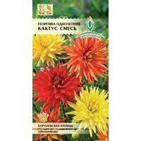 Георгина Кактус 0,25г Одн смесь 100см (Евро-сем)