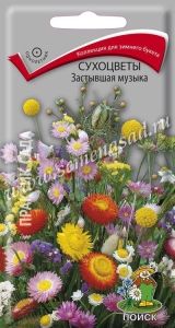 Сухоцветы Застывшая музыка 0,3г Одн 30-80см (Поиск)