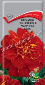 Бархатцы (Тагетес) откл. Кармен 0,4г 30см (Поиск)