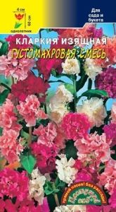 Кларкия Густомахровая смесь изящная 0.1г Одн 60см (Цвет сад)
