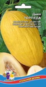 Дыня Торпеда 12шт Ранн (УД)