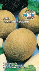 Дыня Сахарный налив 0,5г Ср (Седек)