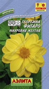 Георгина Фигаро Махровая Желтая 7шт Одн 45см (Аэлита)