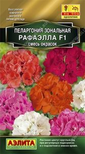 Пеларгония Рафаэлла F1 зональная 5шт Одн смесь 30см (Аэлита)