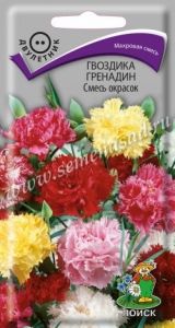 Гвоздика Смесь окрасок гренадин 0,25г Дв 70см (Поиск)