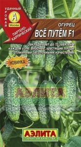 Огурец Все путем 0,25г Парт Ранн (Аэлита)