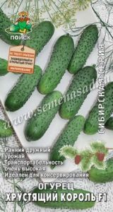 Огурец Хрустящий король F1 12шт Парт Ранн (Поиск)