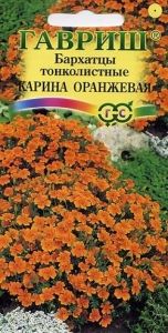 Бархатцы (Тагетес) тонк. Карина Оранжевая 0,05г 30см (Гавриш)