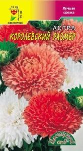 Астра Королевский размер пионовидная 0.1г Одн смесь 90см (Цвет сад)