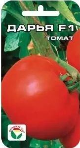 Томат Дарья 12шт Дет Ранн (Сиб сад)