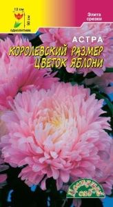 Астра Королевский размер Цветок яблони пионовидная 0.1г Одн 90см (Цвет сад)
